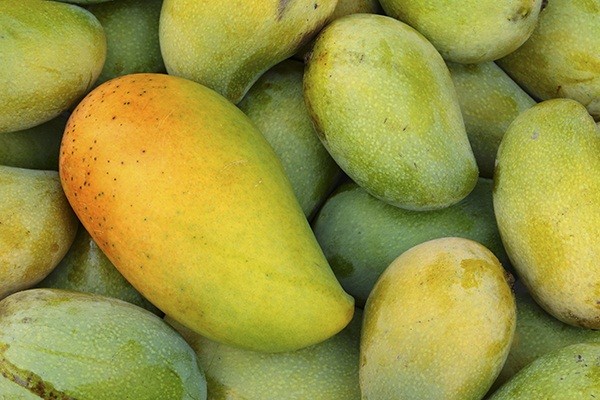 Mangoes